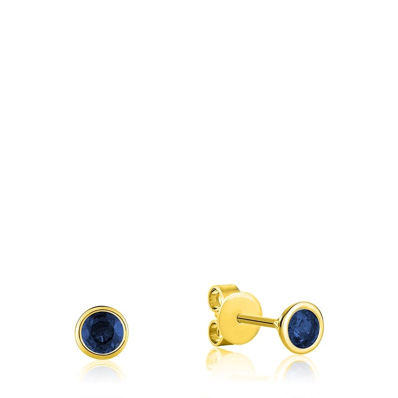 Blue Sapphire Stud Earrings in 10kt Yellow Gold
